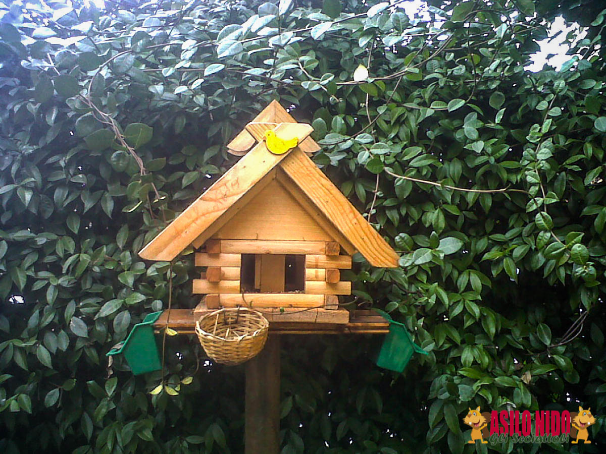 asilo-gli-scoiattoli-16